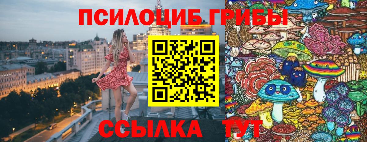 Богданович  Псилоцибиновые грибы Cubensis  Вход с VPN 