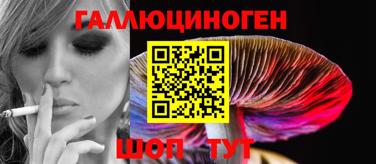 Псилоцибиновые грибы MAGIC MUSHROOMS Богданович